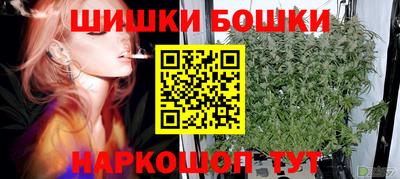 ГАЛЛЮЦИНОГЕННЫЕ ГРИБЫ Кингисепп