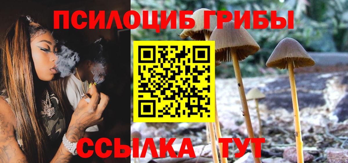 Кубинка  Псилоцибиновые грибы Psilocybine cubensis  Псилоцибиновые грибы Psilocybe  Вход с VPN 