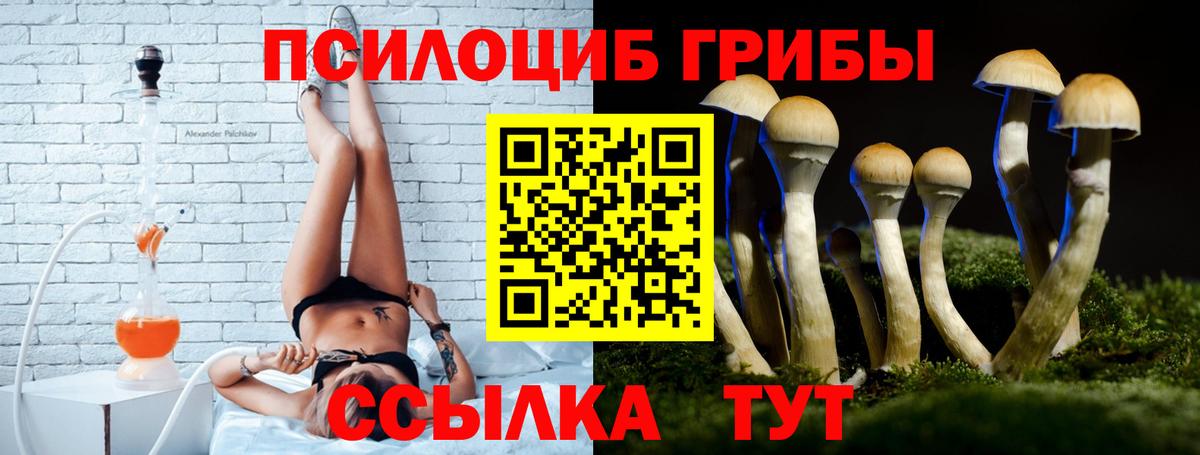 Псилоцибиновые грибы мицелий Кубинка